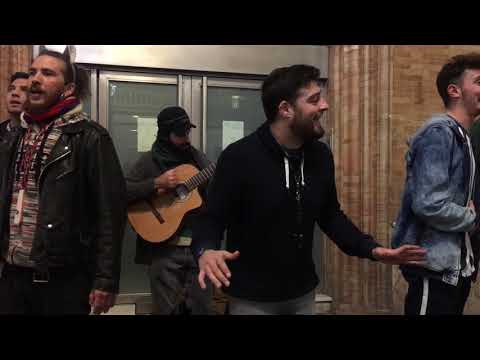 Chirigota del Sur (Pasodoble a Sevilla) - Sevilla (21/12/18)