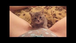 ПРИКОЛЫ 2018 ржака до слез угар прикол СМЕШНОЕ ВИДЕО