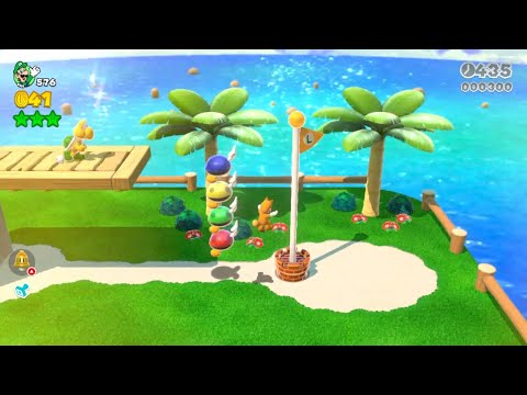 SM3DW (Switch) 5-1 Speedrun | Time: 65