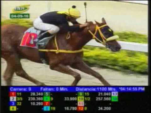 Resumen Domingo, 04 de Septiembre de 2016 - La Rinconada