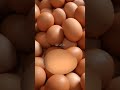 Chicken Baby So Lovely Shorts Susu Kutin Cutebaby Baby Cute Trending Tiktok