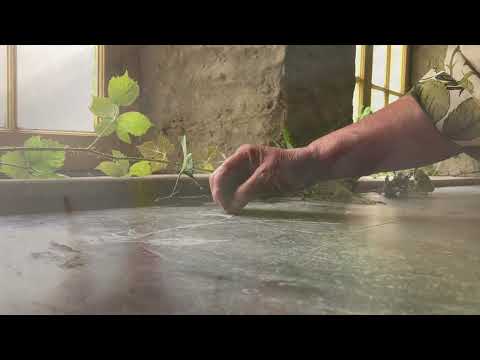 Bramble, from Spell Songs II: Let The Light in