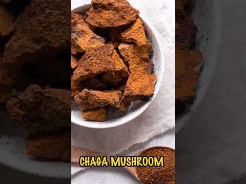 Chaga mushroom extract, packaging type: drum, packaging size...