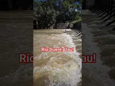 Rio Dueré: Uau! 🎣 🛶 🌳 #rio #águacorrente #nature #relaxamento #viral #shorts #tocantins #brasil #paz