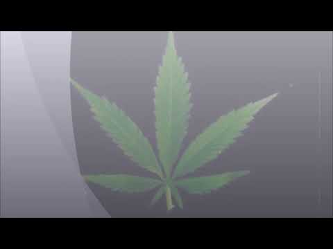 Unknown -  Ki Kujdes (Official Video 4k)