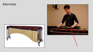 Introduction to Music Appreciation - Lesson 08 - Exploring Percussion Instruments