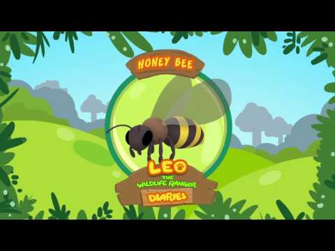 Witness21  2018 10 31