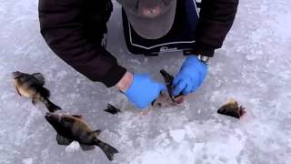 preview picture of video 'Ice Fishing For Northern Pike in Maine during Febachery!'