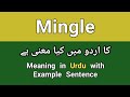 Mingle meaning in urdu/hindi || Mingle ka matlab kia hota ha || Mingle in a sentence