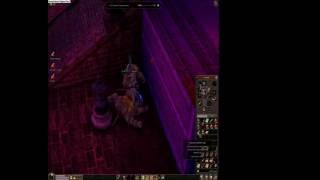 Metin2 CZ Warrion2 vs. Chodící Opice