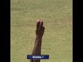 Difference Between Wobble Seam And Upright Seam How To Bowl Wobble Seam Delivery