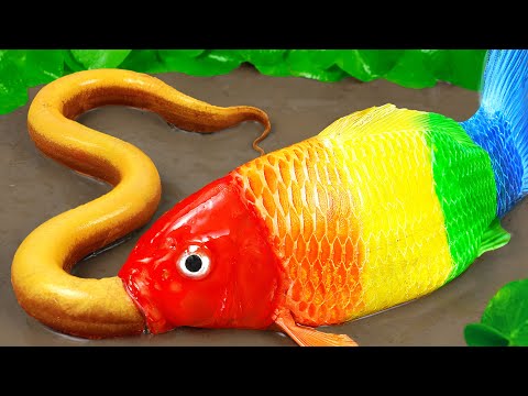 Stop Motion ASMR | Adultery Carp Colorful Rainbow Fish Satisfying Cooking Experiment Primitive Fun