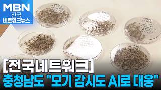 충청남도 "모기 감시도 AI로 대응하겠다" [전국네트워크]