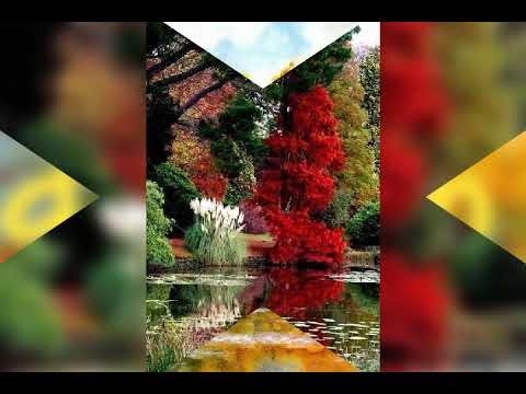 Videoclip de Ballata D'Autunno (Balada De Otono) (2001 Remaster) — Mina