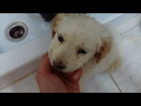 download lagu mp3 mp4 La Terza, download lagu La Terza gratis, unduh video klip Download La Terza Mp3 dan Mp4 Music Online Gratis