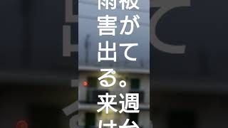 使い方勉強中。