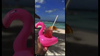 On A Private Island In Aruba. #aruba #arubavacation #arubaonehappyisland #travel #island #travelvlog