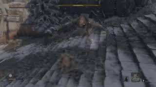 隻狼　　無限に◯にいく