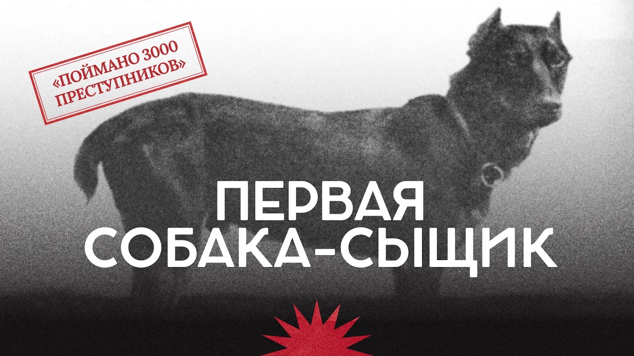 Преступления в Российской империи / Полицейская собака Треф / Закат империи /