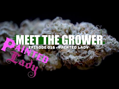 Meet the Grower Ep. 016 - Painted Lady