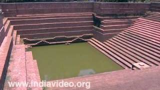 Temple pond of Akliyathu Shiva temple