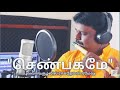 Shenbagame Ilayaraja Flute Cover By Raagadevan Ramesh Instrumental Orchestra 99527 70496