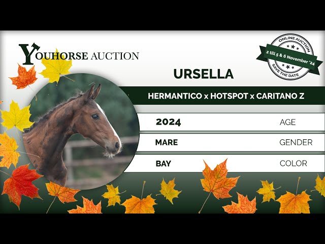 Ursella