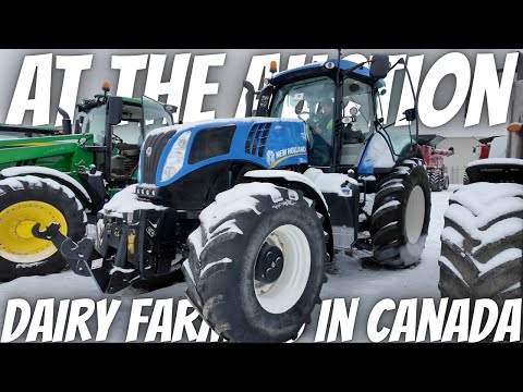 Worst Case Scenario Checking Out This Tractor At Auction!..