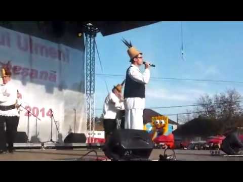 Vasile Mugur - Dragu mi dantu aiesta [Live]