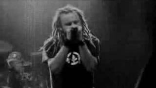 In Flames Colony