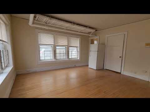 1303 Cass - Video 2 of 2