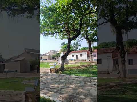 Passarinho  Cantando  em Monte do Carmo Tocantins