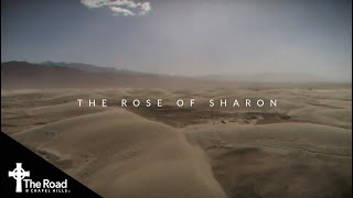 The Rose of Sharon
