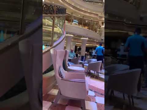 Thumbnail for #cruiseship #adventure #australia #crownprincess #2025#newzealand #hig