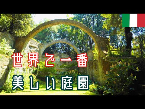 jardins méditerranéens -allee-gravier-parterres-fleurs-olivier-chaises-longues