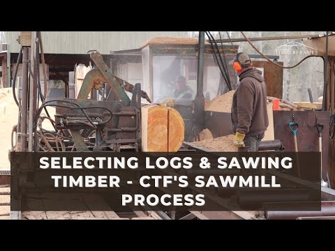 Selecting Logs & Sawing Timber - Canadian Timberframes' Sawmill Process