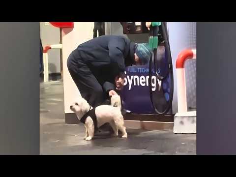 Quintessentially British Memes #72