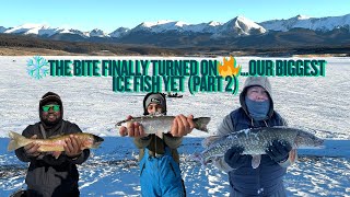 ❄️The Bite Finally Turned On🔥...Our Biggest Ice Fish Yet (Part 2) #colorado #icefishing #gunnison