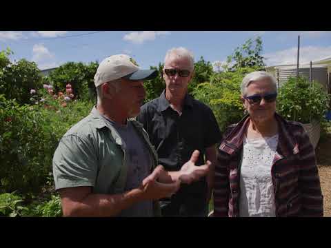 Lemmie e Neil de Portarlington - Parte 1