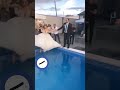 Fun Moments Between The Newlyweds In The Pool