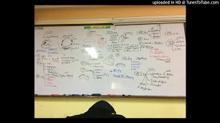 34) Dr. Wael Salah orbit (2) ,papilledema