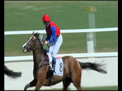 2 nd Alfkona in the Overdose Díj (Listed, 1 000 m)