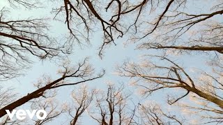 Nick Heyward - Perfect Sunday Sun (Official Music Video)