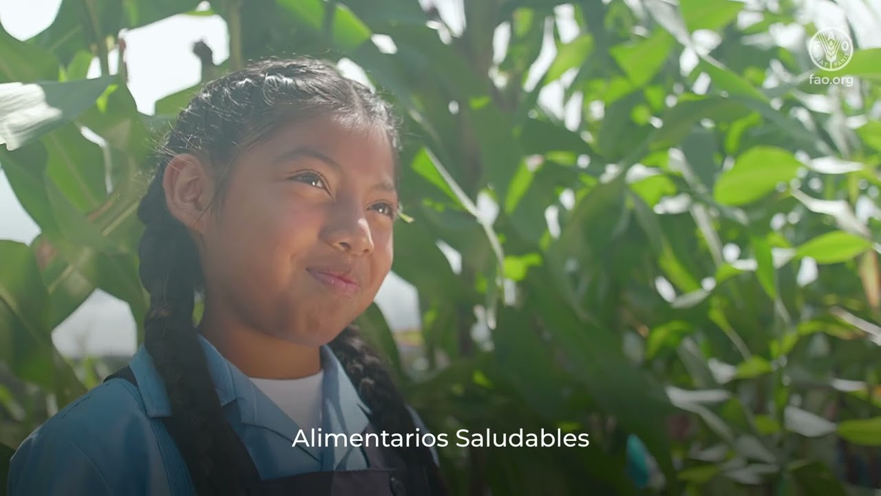 Huertos Escolares Pedagógicos Sembrando Presente y Futuro en Honduras