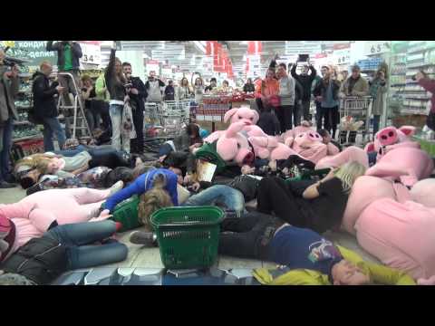 Hinfallende Schweine in Supermarkt [Videos aus YouTube]