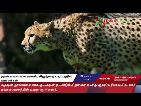 குரல் வளையை கவ்விய சிறுத்தை, பதட்டத்தில் ஊர் மக்கள்