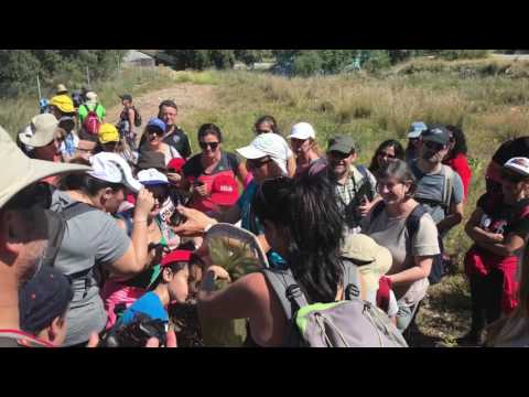 Taller de Sensibilizacin Ambiental. Iniciacin a las mariposas en Gran Senda de Mlaga