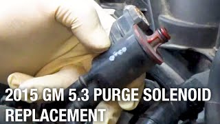 2015 GM 5.3 Purge Solenoid Replacement | Installation Spotlight