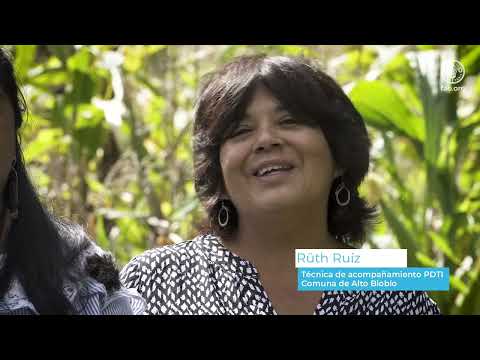 Sistema ancestral de la cordillera Pehuenche: Huertas biodiversas del territorio Curarrehue