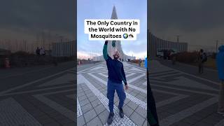 The Only Country in the World with No Mosquitoes #travel #iceland